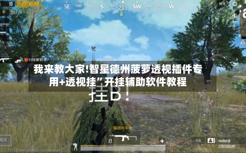 我来教大家!智星德州菠萝透视插件专用+透视挂”开挂辅助软件教程-第2张图片