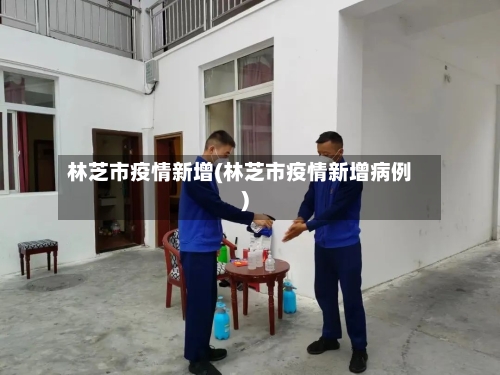 林芝市疫情新增(林芝市疫情新增病例)-第1张图片