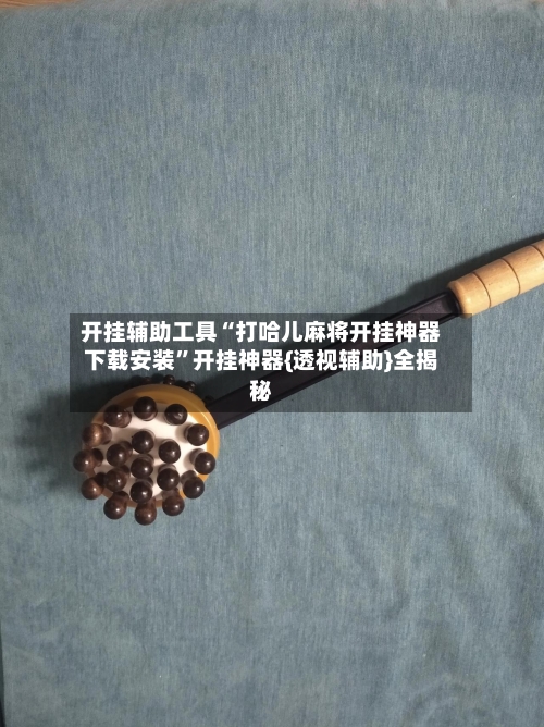开挂辅助工具“打哈儿麻将开挂神器下载安装”开挂神器{透视辅助}全揭秘-第2张图片