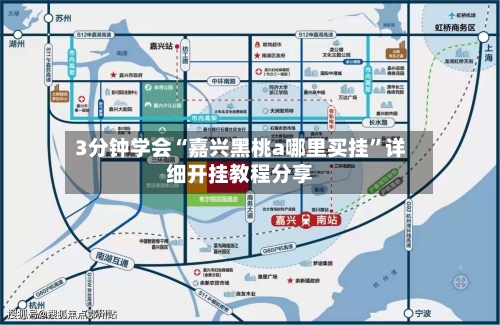 3分钟学会“嘉兴黑桃a哪里买挂”详细开挂教程分享-第1张图片