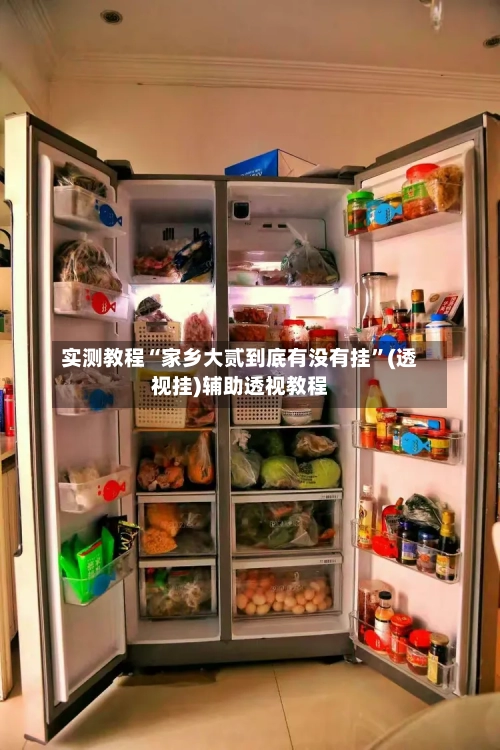 实测教程“家乡大贰到底有没有挂”(透视挂)辅助透视教程-第1张图片