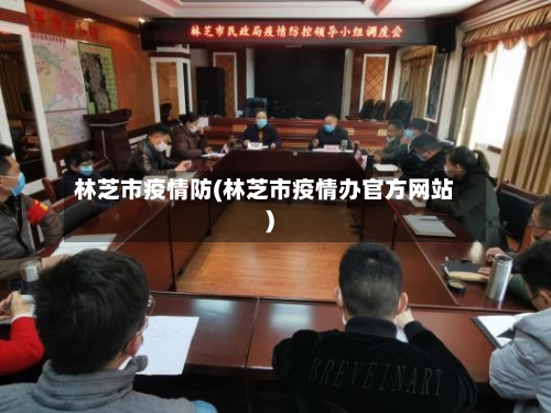 林芝市疫情防(林芝市疫情办官方网站)-第1张图片