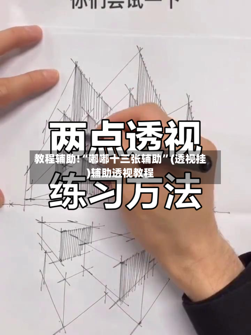教程辅助!“嘟嘟十三张辅助”(透视挂)辅助透视教程-第3张图片