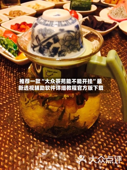 推荐一款“大众茶苑能不能开挂”最新透视辅助软件详细教程官方版下载-第3张图片