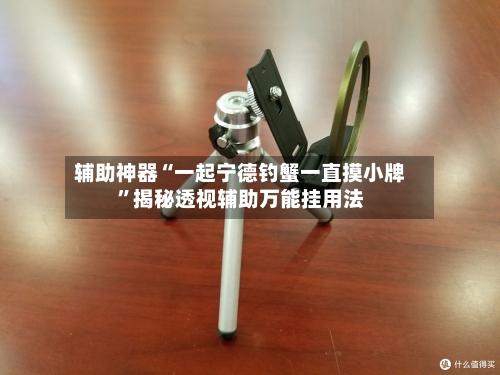 辅助神器“一起宁德钓蟹一直摸小牌”揭秘透视辅助万能挂用法-第1张图片