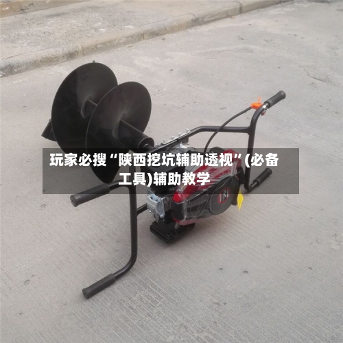 玩家必搜“陕西挖坑辅助透视”(必备工具)辅助教学-第1张图片