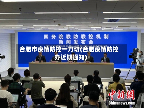 合肥市疫情防控一刀切(合肥疫情防控办近期通知)-第1张图片