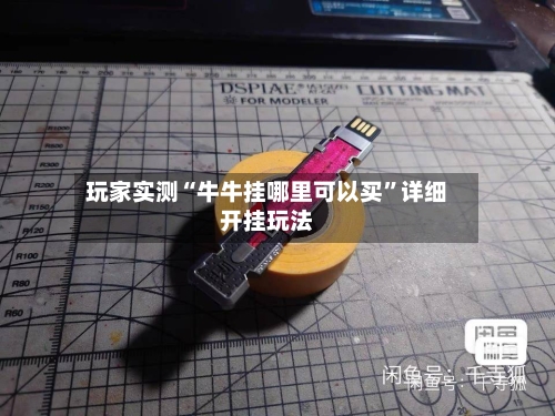 玩家实测“牛牛挂哪里可以买”详细开挂玩法-第1张图片