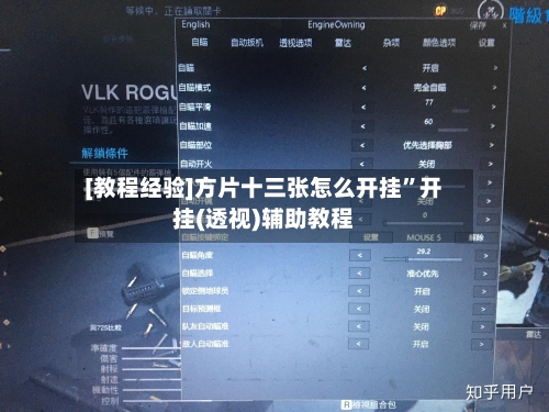 [教程经验]方片十三张怎么开挂	”开挂(透视)辅助教程-第2张图片
