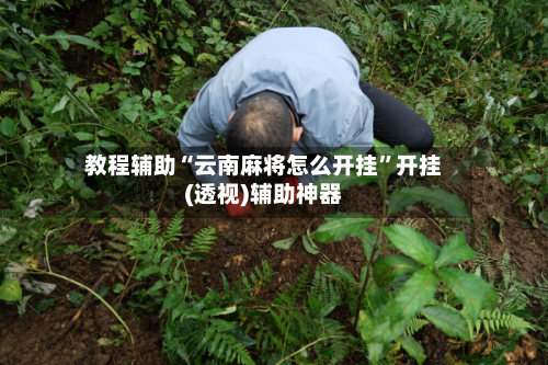 教程辅助“云南麻将怎么开挂”开挂(透视)辅助神器-第2张图片