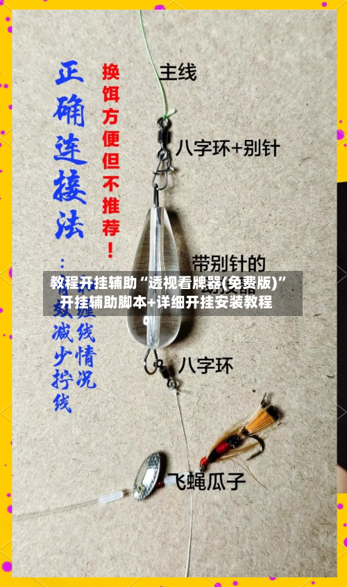 教程开挂辅助“透视看牌器(免费版)”开挂辅助脚本+详细开挂安装教程-第2张图片