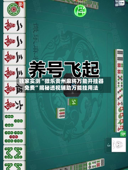 独家实测“微乐贵州麻将万能开挂器免费”揭秘透视辅助万能挂用法-第3张图片