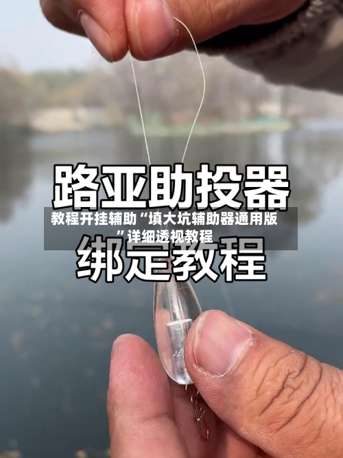 教程开挂辅助“填大坑辅助器通用版”详细透视教程-第3张图片