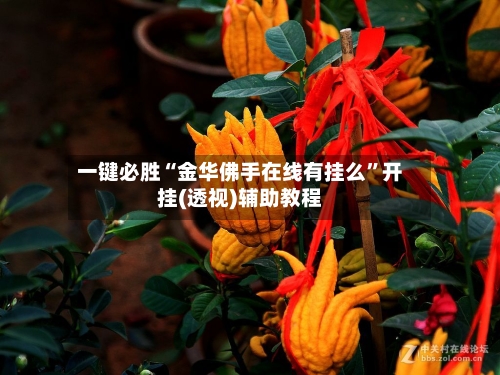 一键必胜“金华佛手在线有挂么	”开挂(透视)辅助教程-第1张图片