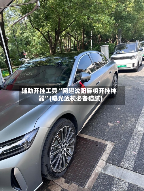 辅助开挂工具“网趣沈阳麻将开挂神器”(曝光透视必备猫腻)-第1张图片