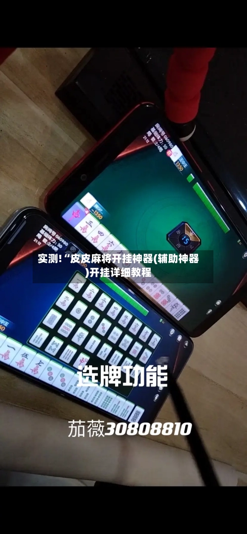 实测!“皮皮麻将开挂神器(辅助神器)开挂详细教程-第2张图片