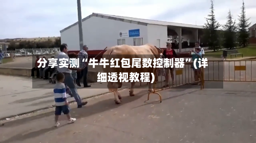 分享实测“牛牛红包尾数控制器	”(详细透视教程)-第2张图片