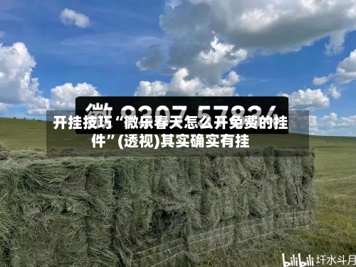 开挂技巧“微乐春天怎么开免费的挂件	”(透视)其实确实有挂-第1张图片