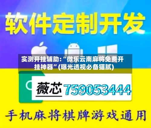 实测开挂辅助:“微乐云南麻将免费开挂神器”(曝光透视必备猫腻)-第1张图片