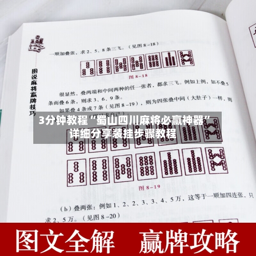 3分钟教程“蜀山四川麻将必赢神器	”详细分享装挂步骤教程-第1张图片