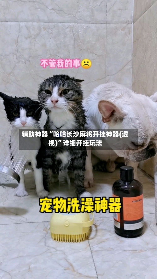 辅助神器“哈哈长沙麻将开挂神器(透视)”详细开挂玩法-第3张图片