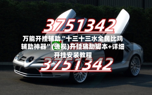 万能开挂辅助“十三十三水全民比鸡辅助神器”(透视)开挂辅助脚本+详细开挂安装教程-第2张图片