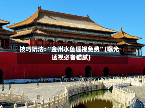 技巧玩法:“金州水鱼透视免费”(曝光透视必备猫腻)-第1张图片