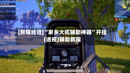 [教程经验]“家乡大贰辅助神器	”开挂(透视)辅助教程-第1张图片