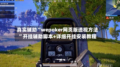真实辅助“wepoker网页版透视方法	”开挂辅助脚本+详细开挂安装教程-第1张图片