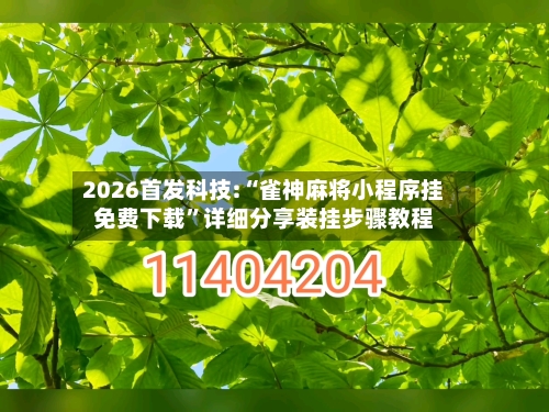 2026首发科技:“雀神麻将小程序挂免费下载	”详细分享装挂步骤教程-第3张图片