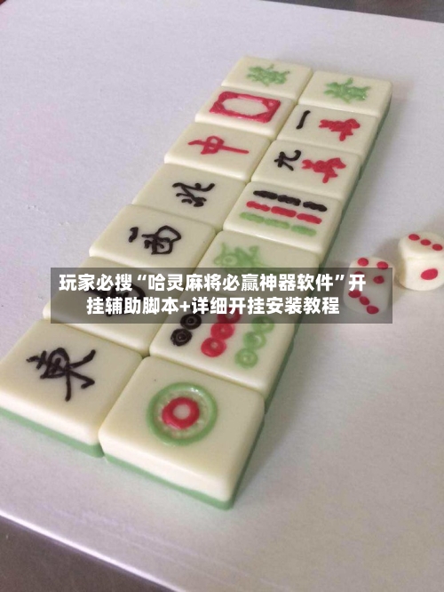 玩家必搜“哈灵麻将必赢神器软件”开挂辅助脚本+详细开挂安装教程-第1张图片