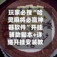 玩家必搜“哈灵麻将必赢神器软件	”开挂辅助脚本+详细开挂安装教程-第2张图片