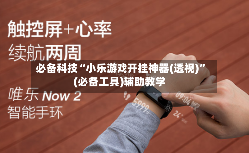 必备科技“小乐游戏开挂神器(透视)”(必备工具)辅助教学-第1张图片