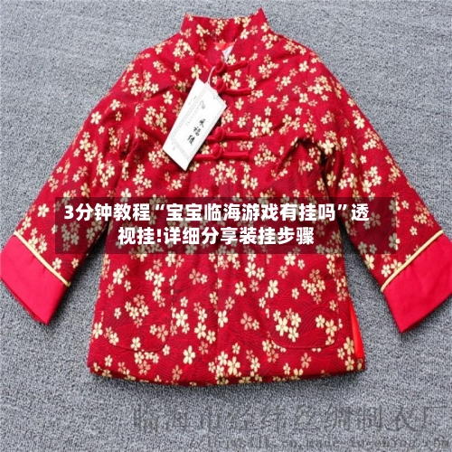 3分钟教程“宝宝临海游戏有挂吗”透视挂!详细分享装挂步骤-第1张图片