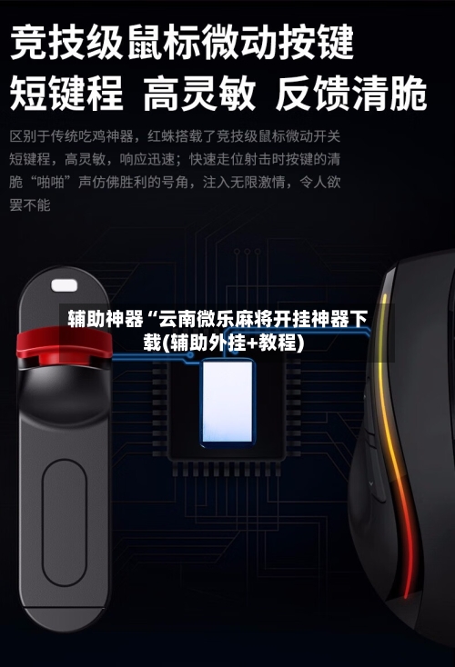 辅助神器“云南微乐麻将开挂神器下载(辅助外挂+教程)-第3张图片