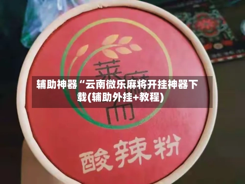 辅助神器“云南微乐麻将开挂神器下载(辅助外挂+教程)-第2张图片