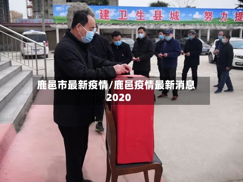 鹿邑市最新疫情/鹿邑疫情最新消息2020-第2张图片