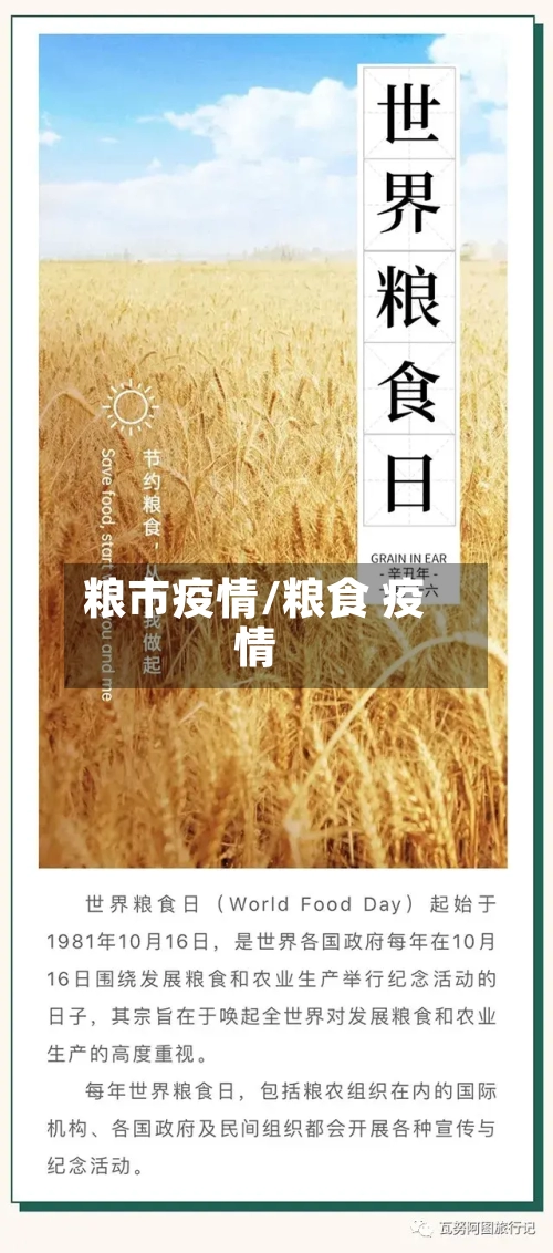 粮市疫情/粮食 疫情-第2张图片
