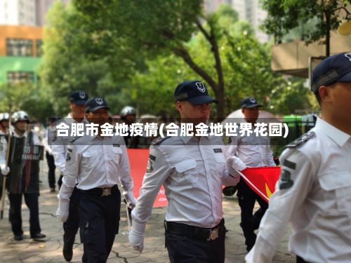 合肥市金地疫情(合肥金地世界花园)-第3张图片