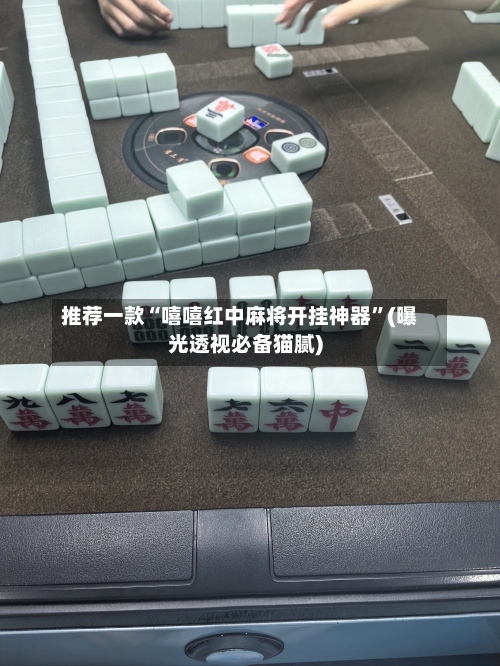 推荐一款“嘻嘻红中麻将开挂神器	”(曝光透视必备猫腻)-第2张图片