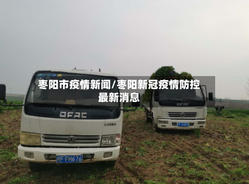 枣阳市疫情新闻/枣阳新冠疫情防控最新消息-第3张图片