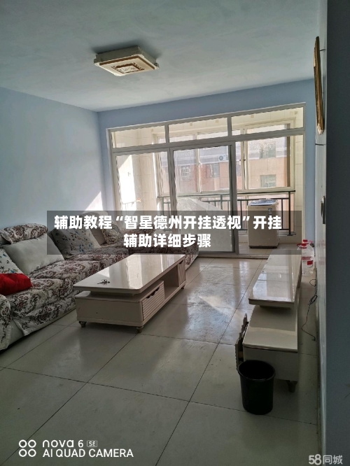 辅助教程“智星德州开挂透视”开挂辅助详细步骤-第3张图片