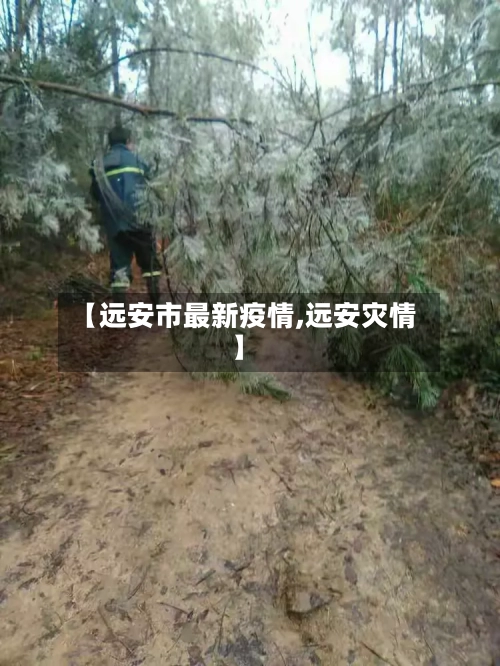 【远安市最新疫情,远安灾情】-第2张图片