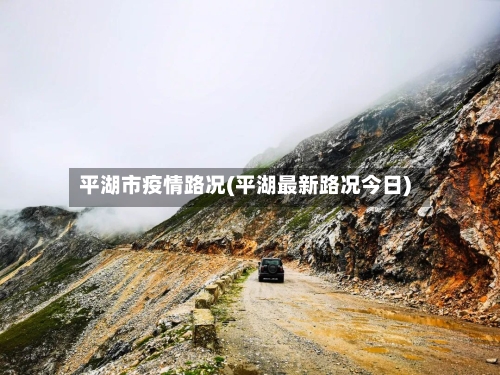 平湖市疫情路况(平湖最新路况今日)-第2张图片