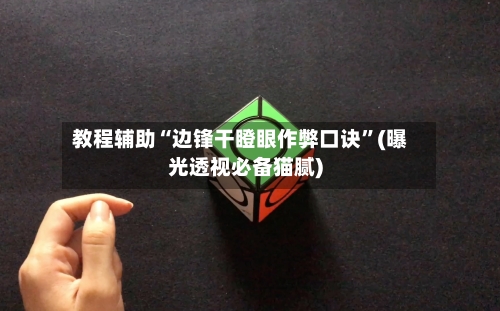 教程辅助“边锋干瞪眼作弊口诀”(曝光透视必备猫腻)-第1张图片