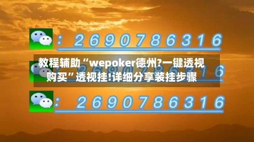 教程辅助“wepoker德州?一键透视购买”透视挂!详细分享装挂步骤-第3张图片