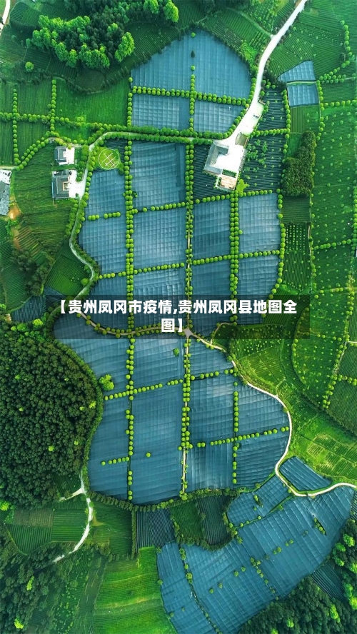 【贵州凤冈市疫情,贵州凤冈县地图全图】-第2张图片