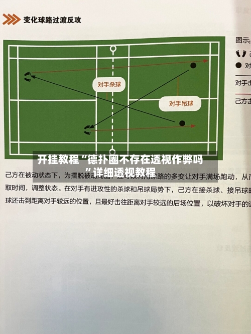 开挂教程“德扑圈不存在透视作弊吗”详细透视教程-第2张图片