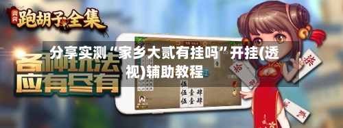 分享实测“家乡大贰有挂吗”开挂(透视)辅助教程-第2张图片