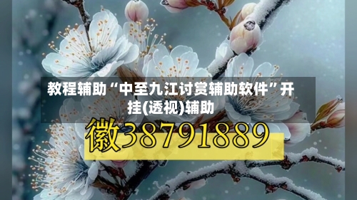 教程辅助“中至九江讨赏辅助软件”开挂(透视)辅助-第2张图片